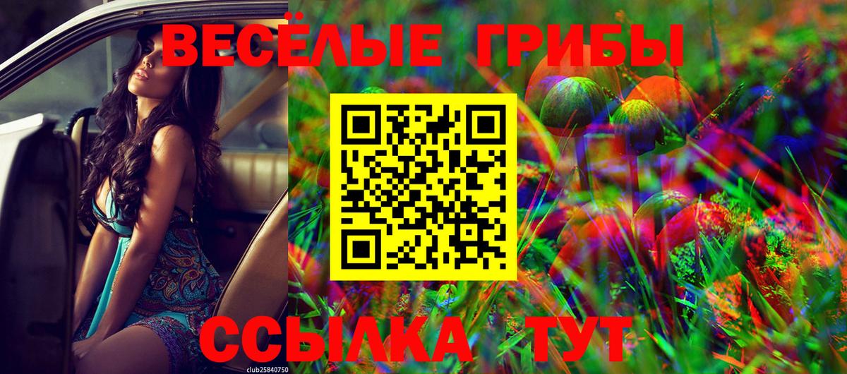 Кызыл  Псилоцибиновые грибы мицелий  Псилоцибиновые грибы ЛСД  где продают   Вход с VPN 